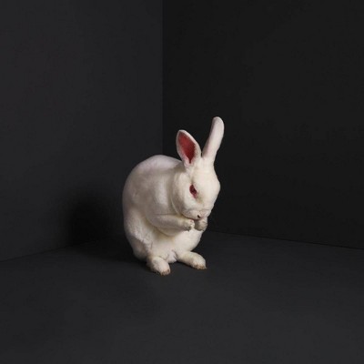 Brume - Rabbits (CD)