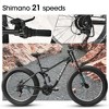 RISOKEYS 26 Inch Fat Tires Mountain Bike, 21-Speed All Terrain Bicycle with Disc Brakes & 4" Wide Fat Tire,City Beach for Adults and Teenagers,Black - 4 of 4