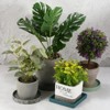 Unique Bargains Indoor Outdoor Glazed Ceramic Round Plant Pot Saucer 1 Pc - 4 of 4