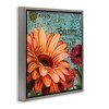 Stupell Industries Daisies with Antique French Backdrop Black Framed Floater Canvas Wall Art - 3 of 4