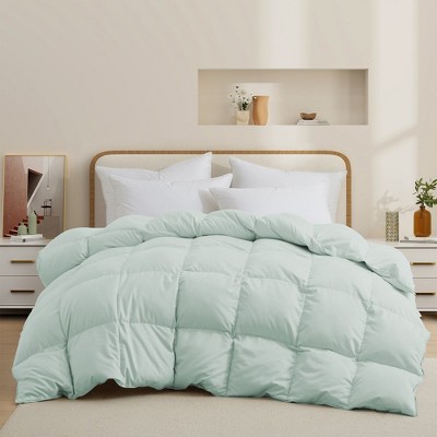 Pastel Green Twin Down Comforter with Polyester Cover