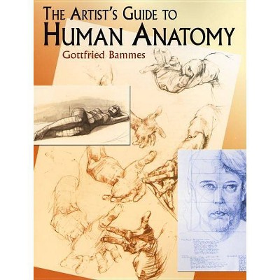 The Artist's Guide to Human Anatomy - (Dover Anatomy for Artists) by  Gottfried Bammes (Paperback)