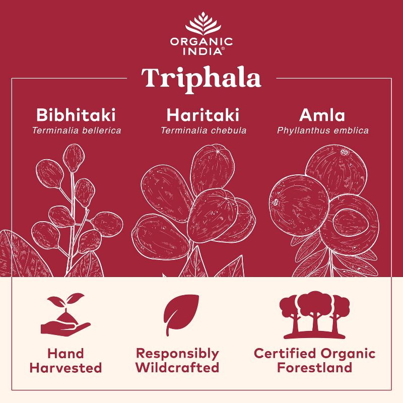 ORGANIC INDIA Triphala Herbal Supplement, 3 of 10