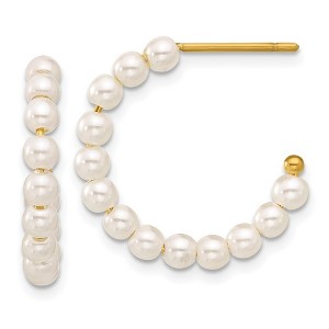 Chisel Stainless Steel Polished Yellow IP-plated White Mother of Pearl J-Hoop Earrings - 1 of 4