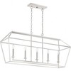 Quoizel Lighting Aviary 5 - Light Island Pendant Light in  Polished Nickel - 3 of 4