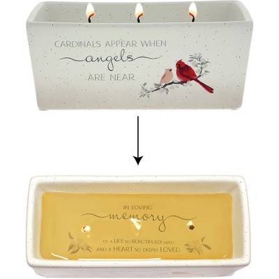 Pavilion Gift Company - Cardinals Appear - 12 oz - 100% Soy Wax Reveal  Triple Wick Candle Scent: Tranquility - Flame Candles