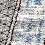 gray/mustard/turquoise