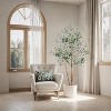 Artificial Olive Trees, Plastic Olive Tree, Home Decoration Plant, Adjustable, for Living Room, Bedroom, Home, Office - 3 of 4