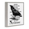 Stupell Industries Creepy Halloween Black Crow Raven Framed Giclee Art, Gray, 12" x 12" - 2 of 4