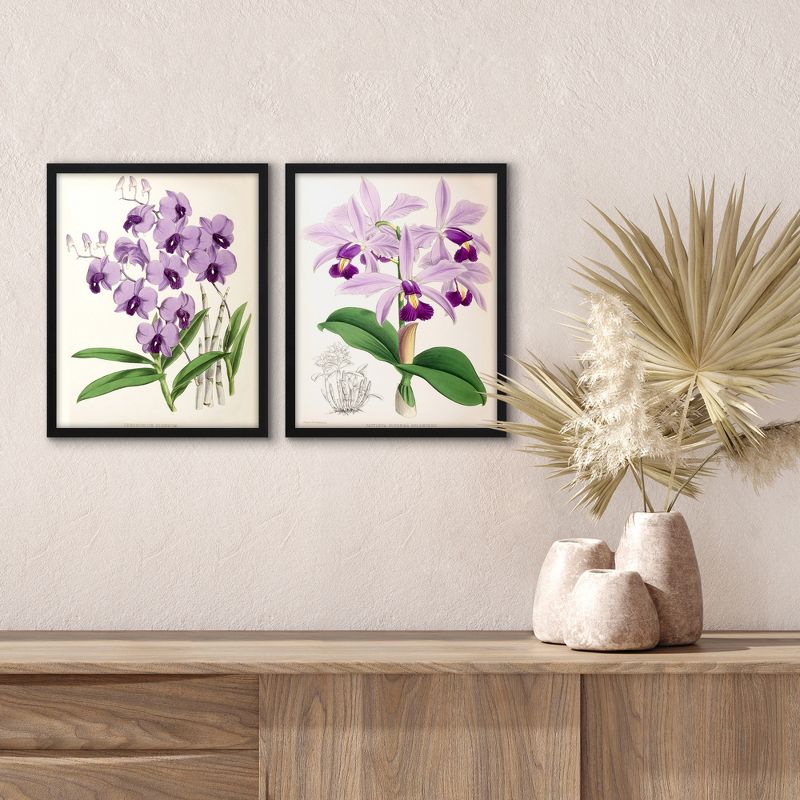 Americanflat 2 Piece 16x20 Wrapped Canvas Set - Fitch Orchid 
by New York Botanical Garden - botanical  Wall Art, 3 of 7