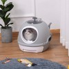 Skyzone Enclosed Cat Litter Box with Dome Lid, Removable Tray, Skylight & Scoop, Gray, Spacious for - 2 of 4