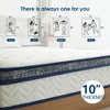 Resenkos Queen Mattress, 10 Inch Hybrid Queen Mattress in a Box, Individual Pocket Spring Bed Mattress, Medium Firm Mattress - 3 of 4