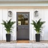 AcekoolPlanters - Self-Watering with Rattan Design for Indoor/Outdoor - 2 of 4