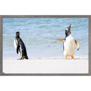 Trends International The Comedy Wildlife Photography Awards: Jennifer Hadley - Talk To The Fin Framed Wall Poster Prints - 1 of 4