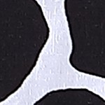 cow-black