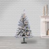 4ft Sterling Tree Company Flocked Colorado Spruce with 100 Clear Lights Artificial Christmas Tree - image 3 of 3
