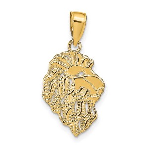 Black Bow Jewelry 14k Yellow Gold Flat Lion Head Pendant, 13 x 25mm (1/2 x 1 Inch) - 1 of 4
