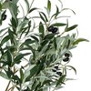 Vickerman Artificial Green Olive Tree in Pot - 2 of 4