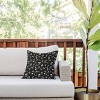 16"x16" Deny Designs Iveta Abolina Pineberry Botanical Outdoor Throw Pillow Black: Abstract Design, Polyester Fill - 2 of 4