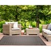 Liora Manne Carmel  Indoor/Outdoor Rug  Black.. - 4 of 4