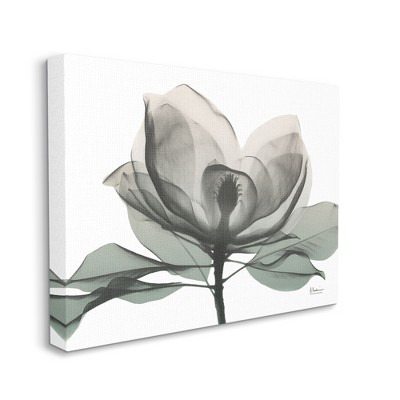 Stupell Industries White Magnolia Flower Green Silhouette