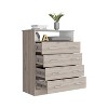 Okak Modern Design Bedroom Dresser with 2-Door Cabinets and Drawer,Chest Storage Cabinet Organizer for Living Room Hallway Entryway - 3 of 4