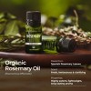 Gya Labs Organic Rosemary Essential Oil Rosemary Oil 0.34 Fl Oz - 3 of 4