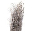 Northlight Natural Twig Bundle Christmas Decoration - 15" - 4 of 4