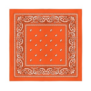 Paisley 100% Polyester Unisex Bandanas - 72 Pack - Bulk Wholesale - 1 of 4
