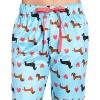 Ashford & Brooks Women's Plush Mink Fleece Pajama Sleep Pants - 4 of 4