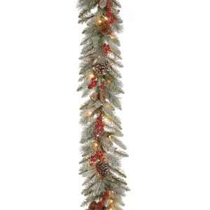 National Tree Company Pre-Lit Artificial Christmas Garland, Green, Snowy Bristle Berry, White Lights, With Pine Cones, Berry Clusters, Plug In,9 Feet - 1 of 3