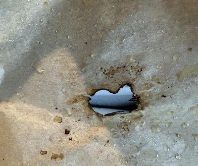 Guest review image 2 of 2, zoom in