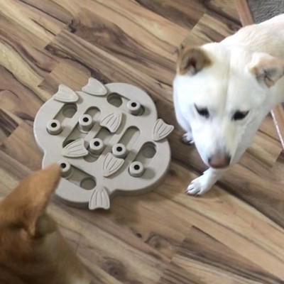 Outward Hound Nina Ottosson Interactive Treat Dispensing Dog Toy Puzzl –  DogToyStuffz