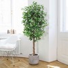Whizmax Artificial Ficus, Fake Ficus Silk Tree with Natural Wood Trunk in Plastic Nursery Pot for Indoor Outdoor House Living Room Office - 2 of 4