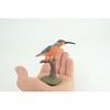 Kingfisher, Common King Fisher, Museum Quality, Educational, Hand Painted, Rubber Bird, Diorama Model, Realistic, Toys,  4 Inches.  CH1039 BB217 - 2 of 4