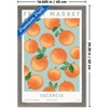 Trends International Reinders: Fruit Market - Valencia Oranges Framed Wall Poster Prints - 3 of 4