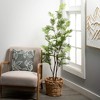 Sullivans Artificial 62" Life-Like Fern Tree, Green - 3 of 4