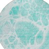 Aqua Teal Blue And Ivory Nautical Washable Indoor Outdoor Area Rug - 4 of 4