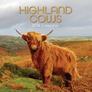 2026 Square Wall Calendar, Highland Cows, 16-Month Animals Theme with 180 Reminder Stickers (12x12 In) - 1 of 4