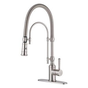 WOWOW Single Handle High Arc Pull Down Sprayer Kitchen Faucet - 1 of 4