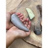 Yellow Door Let's Investigate – Prehistoric Teeth, Set of 8 - 4 of 4