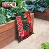 Michigan Peat General All Purpose Premium Potting Soil with Perlite for Indoor Outdoor Pots, Planters, Raised Bed, and Container Gardening, 50 Pounds - 4 of 4