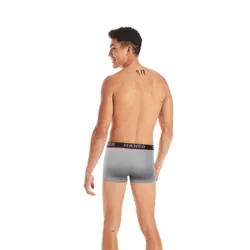 Hanes Premium Men's Mesh Print Comfort Flex Fit Trunk - Gray/Red