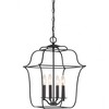 Quoizel Lighting Gallery 4 - Light Chandelier in  Royal Ebony - 4 of 4