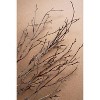 Artificial Birch Branch Stem – 38" Tall Faux Decorative Spray, Set of 6 by Kalalou - 2 of 3