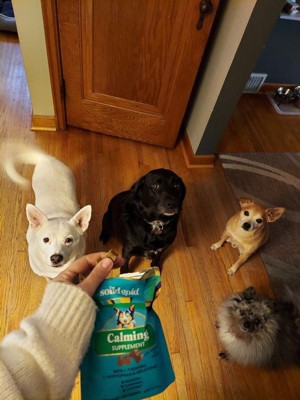 Guest review image 1 of 1, zoom in