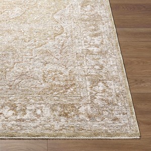 Hauteloom Charae Living Room, Bedroom Area Rug - Traditional - 1 of 4