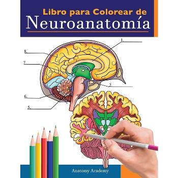 Libro para colorear de neuroanatomía - by  Anatomy Academy (Paperback)