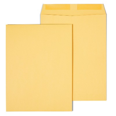 HITOUCH BUSINESS SERVICES Gummed Catalog Envelopes 10"L x 13"H Brown 250/Box 486946/17033