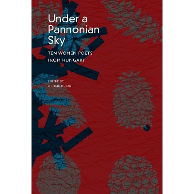 Under a Pannonian Sky - (Hungarian List) by  Ottilie Mulzet (Paperback)